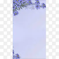 清新风格兰花背景H5背景