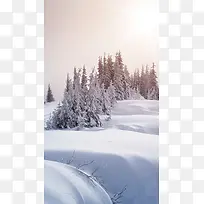 梦幻冬季雪景手机端H5背景