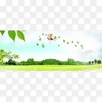 春天清新树叶蝴蝶背景banner