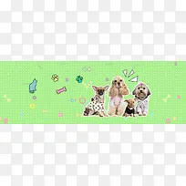 宠物宝宝冬季用品大促清新绿色banner