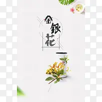 小清新金银花宣传海报设计
