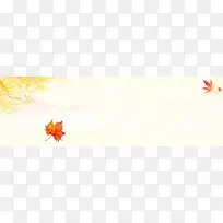 文艺简约秋季枫叶banner