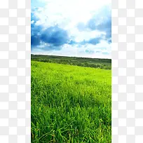 蓝天下的草原H5背景