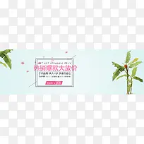 小清新香蕉树背景