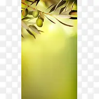 橄榄树枝叶H5背景
