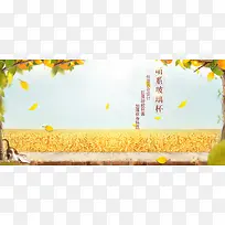秋季稻田背景