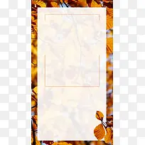 橘红色秋冬服装促销枫叶