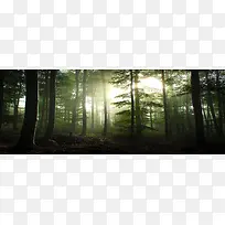唯品会banner