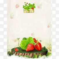 夏季草莓采摘宣传海报背景