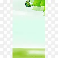 清新绿色展架H5背景
