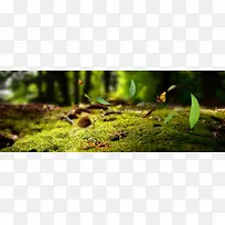 夏日清新护肤背景banner