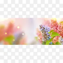 梦幻花朵背景