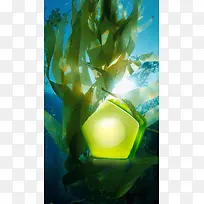 蓝色海洋海草盒子化妆品背景图