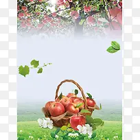 时尚清新秋季苹果促销海报背景素材