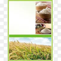田园米饭销售印刷背景