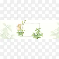 淘宝浪漫淡绿色banner背景