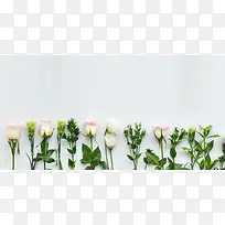 小清新鲜花实拍背景