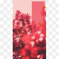 秋天红色枫叶唯美H5背景素材