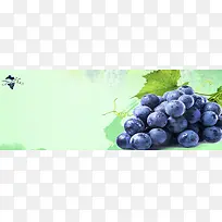 葡萄背景图