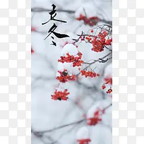 立冬二十四节气中国传统节气霜下雪