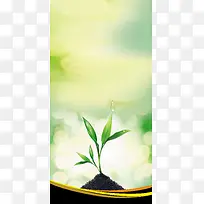 清新绿色植物海报背景