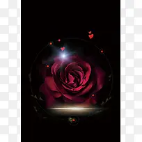 梦幻玫瑰花黑色背景