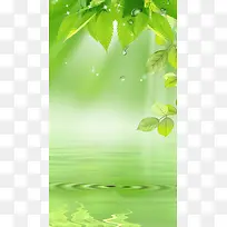 小清新绿叶水珠湖面H5背景素材
