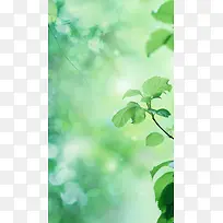 绿色植物梦幻大气H5背景素材