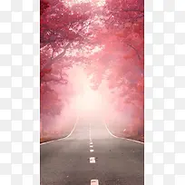 红色树叶公路手机端H5背景