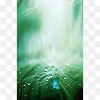 中国传统节气海报背景素材