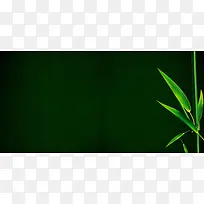 绿色竹子广告背景
