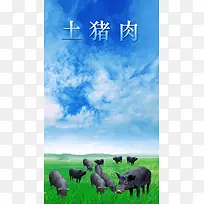 蓝色天空绿地跑山猪H5背景
