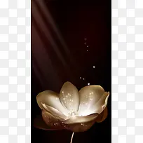 奢华高贵典雅背景素材