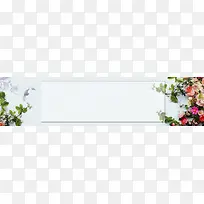 淘宝天猫盆栽植物花盆促销海报