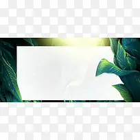 淘宝绿梦幻清新浪漫海报banner背景