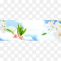 春天banner背景