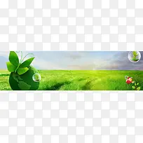 植树节清新绿色海报背景