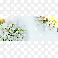 简洁花朵背景