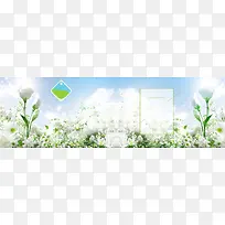 浪漫花瓣背景