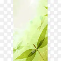绿色小清晰背景