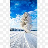 大雪冬天树木H5背景