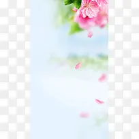 清新花朵背景图片素材H5背景