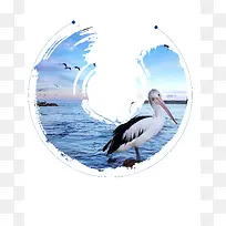 澳洲风景