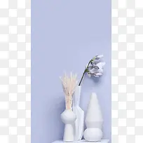 白色花卉H5背景
