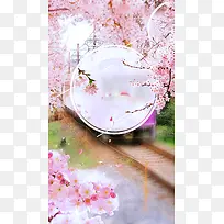 2017日本最美樱花节H5宣传海报背景