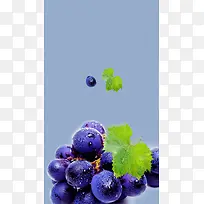 蓝色葡萄文艺天然水果H5背景素材