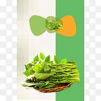 新鲜菠菜白绿拼接清新超市蔬菜促销宣传海报