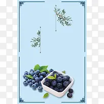 2017年蓝莓水果小清新海报
