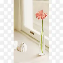 家居红色花朵花瓶H5背景素材