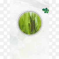 几何简约排版二十四节气之小满海报背景模板